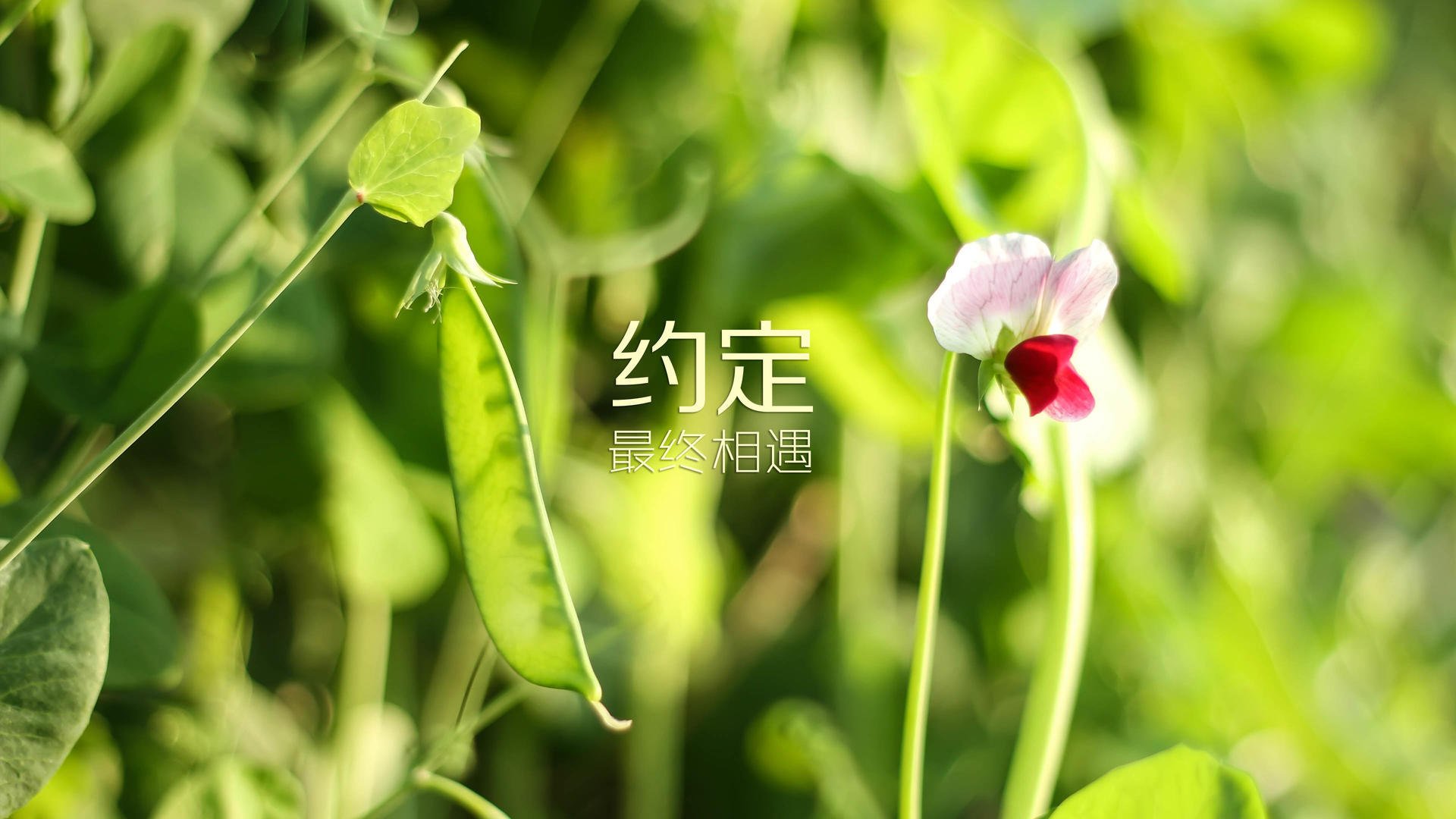 _令人振奋的逆转：从落后到逆袭的精彩瞬间_，从落后到先进的词语