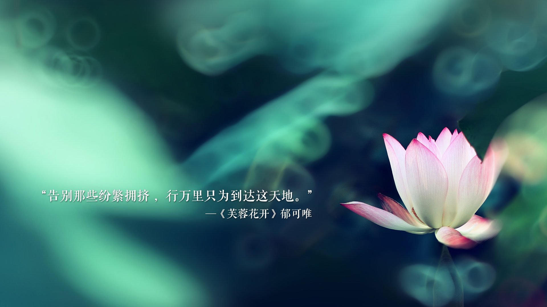 FB体育在线-线上篮球社区建设蓬勃发展，激发青少年自主运动热情，线上打篮球