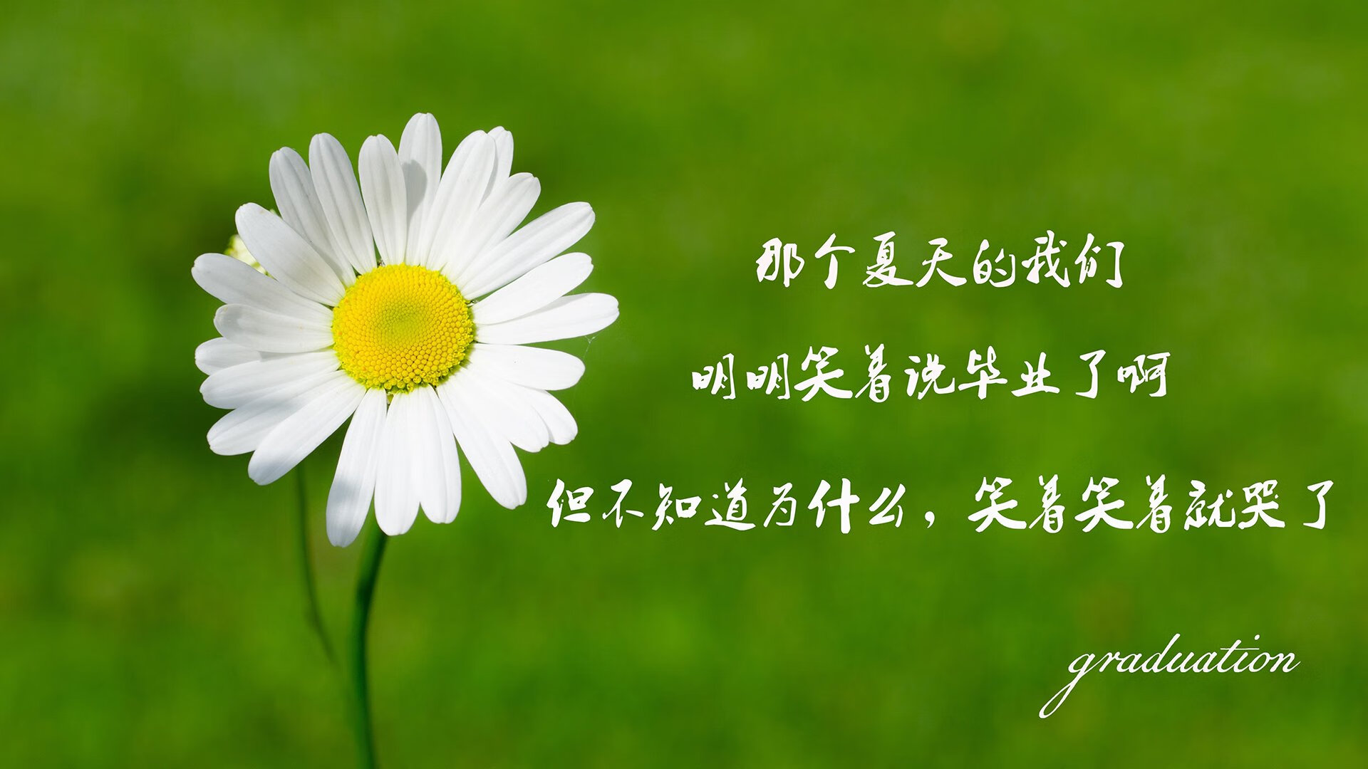 青少年足球比赛“走出校园”，激发全民参与热情，青少年足球比赛方案