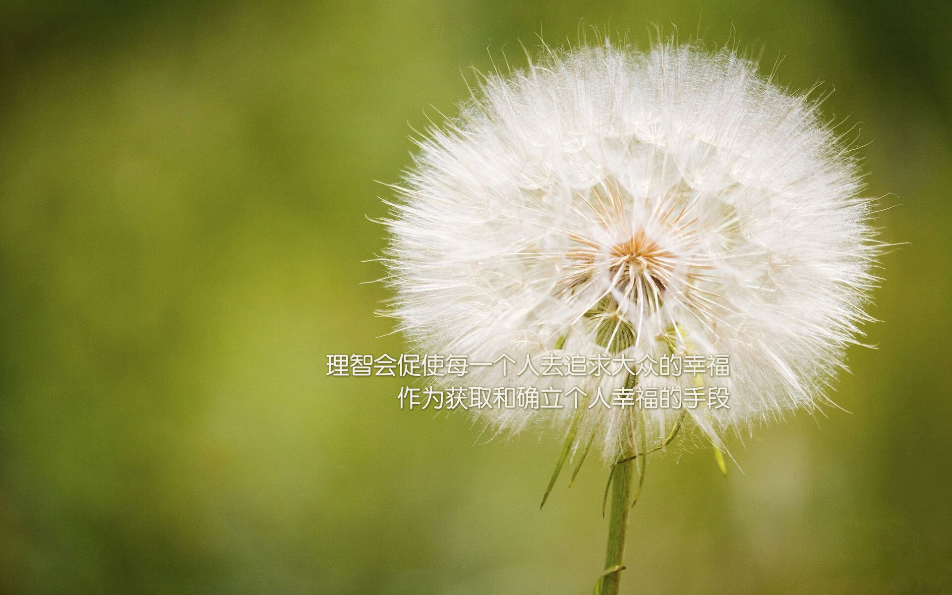 佩纳罗尔新赛季阵容公布，佩纳罗尔vs巴拉纳竞技