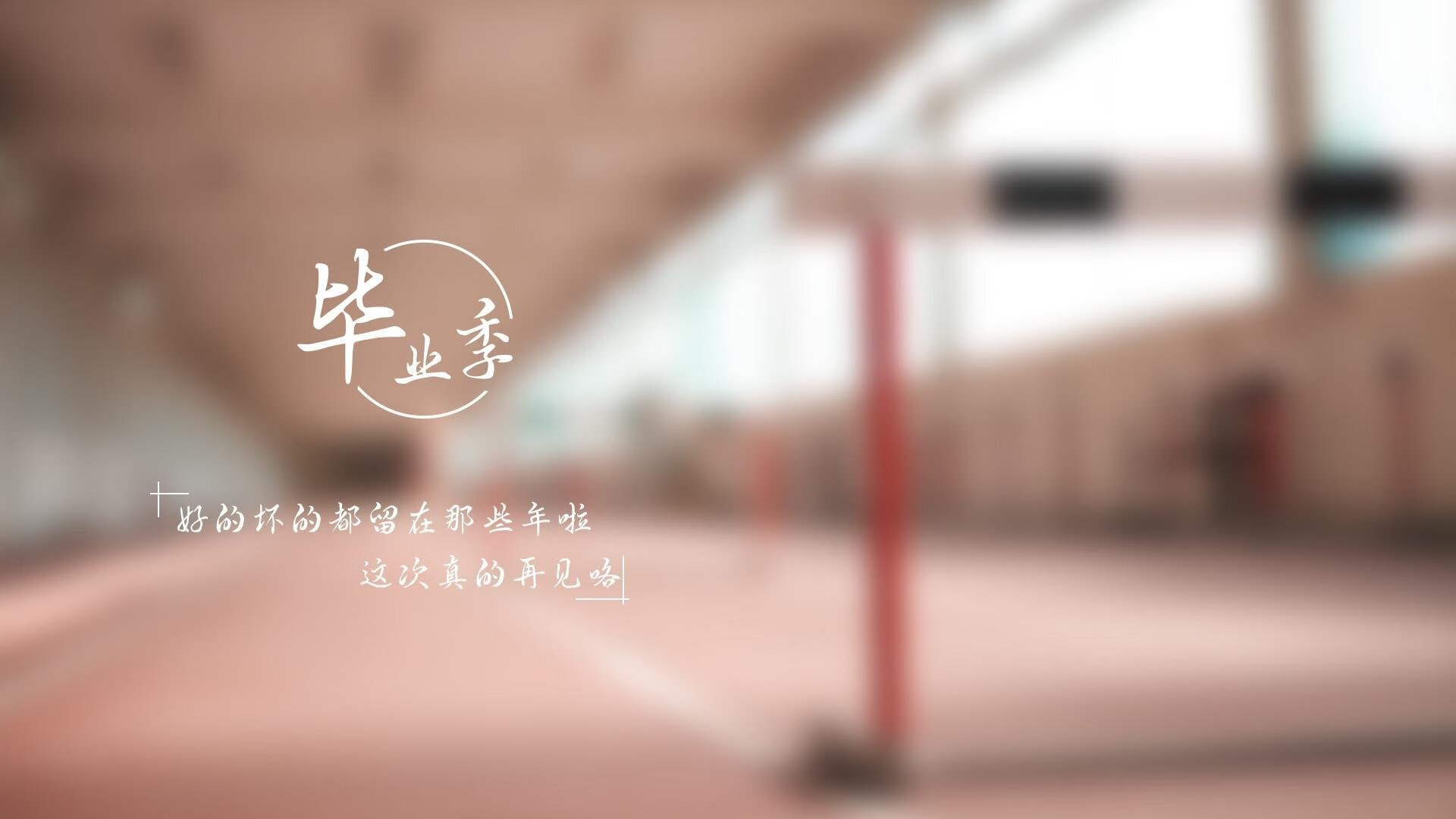 埃弗顿主场战斯旺西，要塞蓝军守住荣誉，埃弗顿 引援