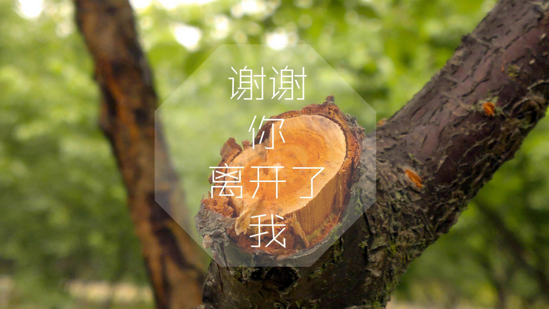 FB体育-广场舞培训机构数量增加，广场舞培训的目的和意义