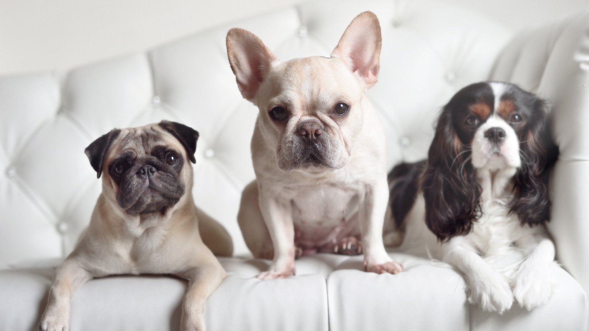 校园体育场馆智能化管理方案研究,体育场馆智能化文献综述