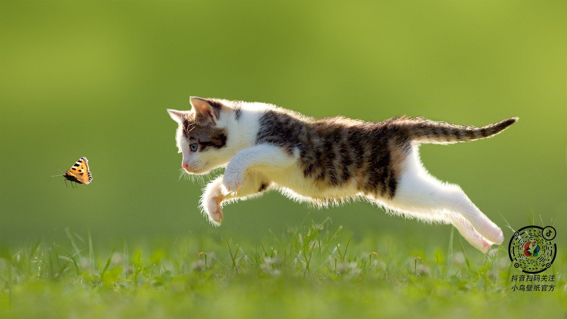 篮球运动员比赛策略智能辅助系统设计与应用,智能篮球训练设备