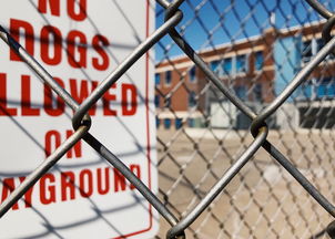 FB体育-青少年安全教育模式，青少年安全教育模式是什么