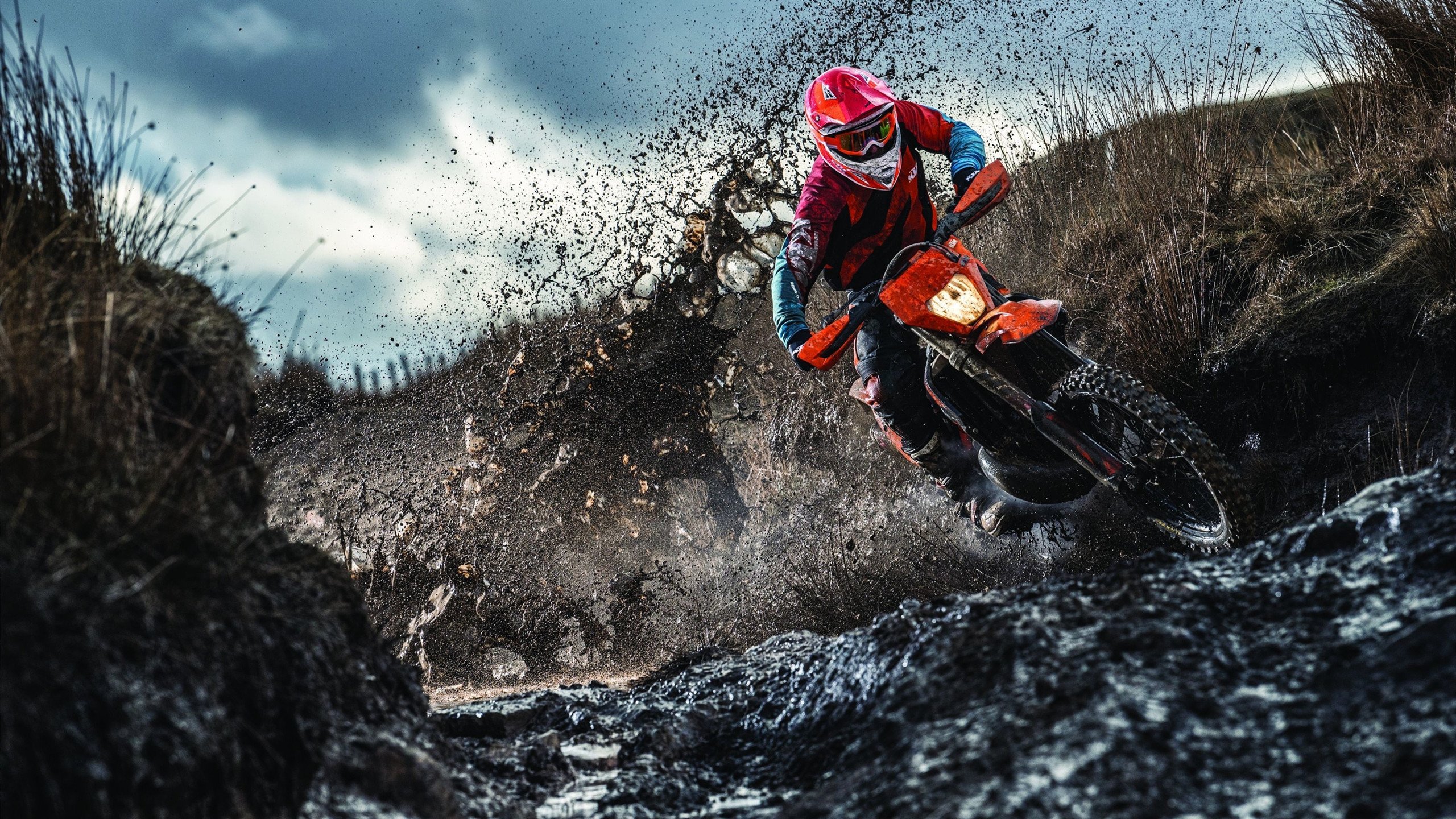 fb体育官网app-可再生材料：赛车轻量化新趋势，可再生汽车燃料